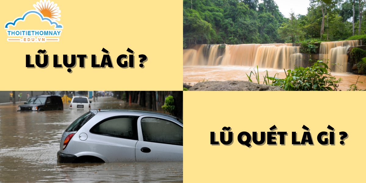 Lũ lụt là gì? Những hậu quả và biện pháp phòng tránh lũ lụt?