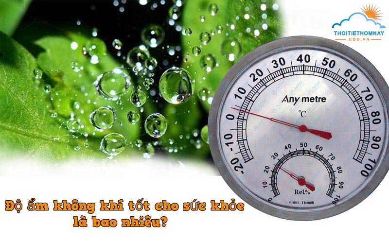 Độ ẩm không khí bao nhiêu là tốt?